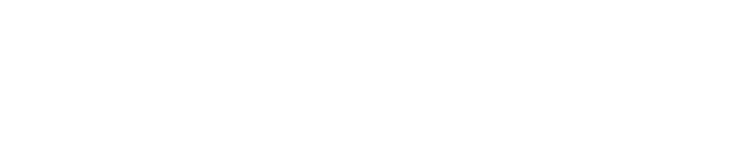 Big Logo